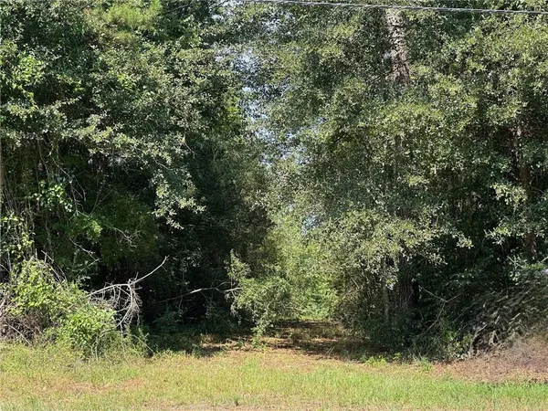 $399,000 | 0 Highway 40 Highway, Folsom, LA 70437