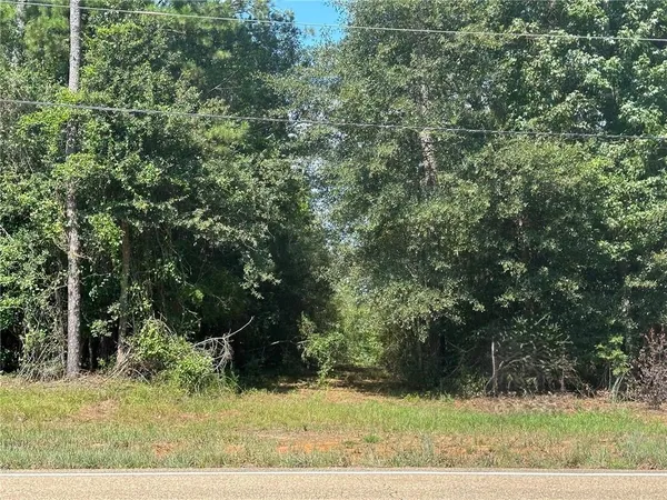 $399,000 | 0 Highway 40 Highway, Folsom, LA 70437