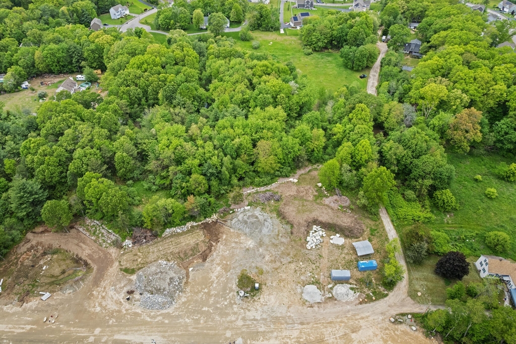 Lot 2 Pickering Road Blackstone, MA 01504 - Photo 2 of 7 a view of a plant in a garden