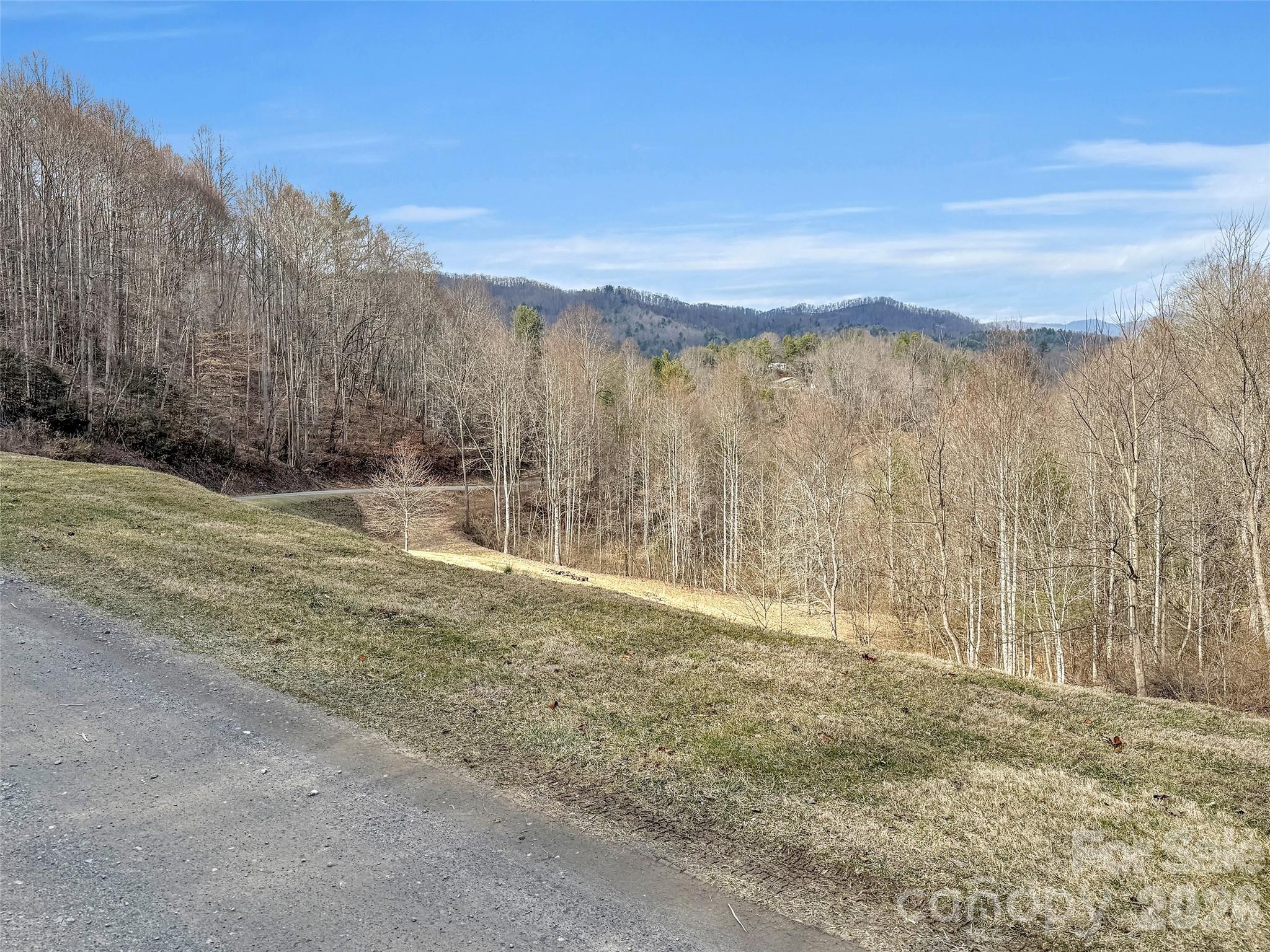 0 Seay Mountain Road Waynesville, NC 28785 - Photo 14 of 17