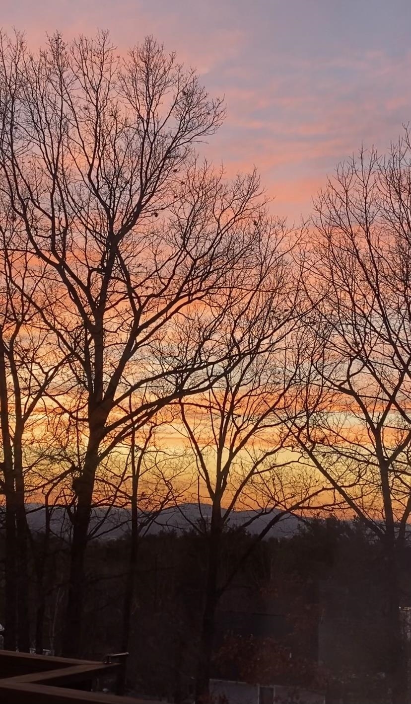 544 Wellington Hill Road Manchester, NH 03104 - Photo 20 of 20