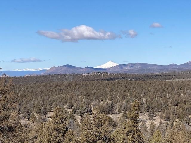 20 Northwest Meyers Butte Road Powell Butte, OR 97753 - Photo 18 of 54 18
