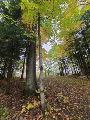 $159,500 | W16125 South Loop Drive, Armstrong Creek, WI 54103