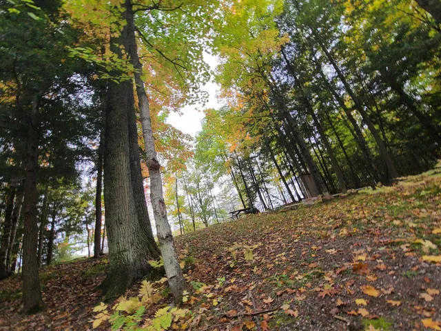 $159,500 | W16125 South Loop Drive, Armstrong Creek, WI 54103