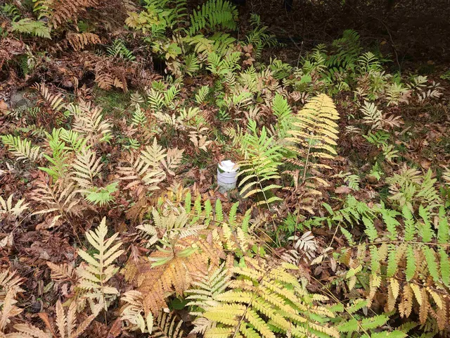 $159,500 | W16125 South Loop Drive, Armstrong Creek, WI 54103