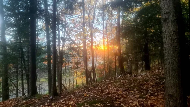 $159,500 | W16125 South Loop Drive, Armstrong Creek, WI 54103