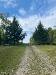 0 Cincinnati Ridge Road Coolville, OH 45723 - Photo 3 of 15 Driveway 2