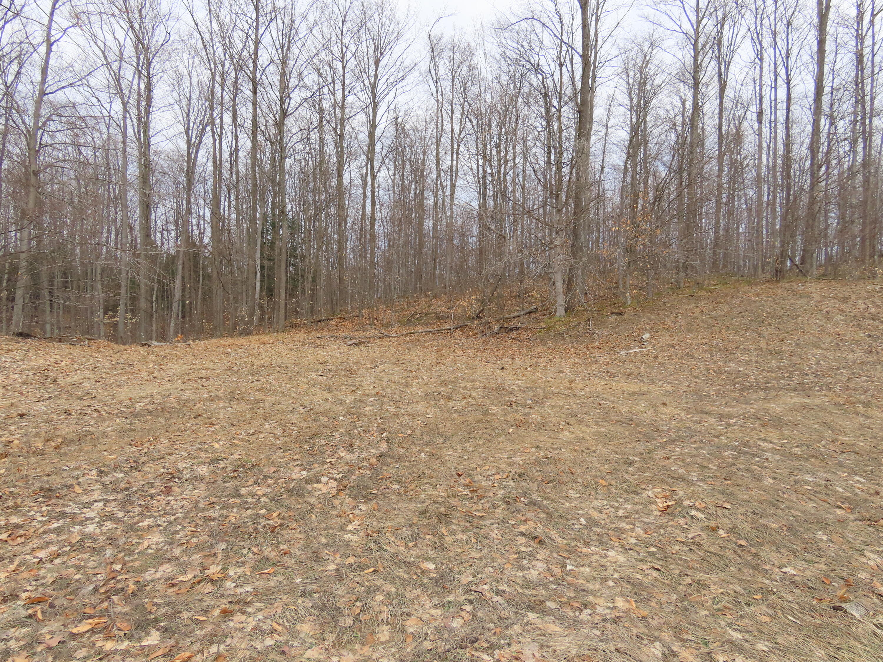 12261 Secrist Road Atlanta, MI 49709 - Photo 25 of 37 Gallery Image 25