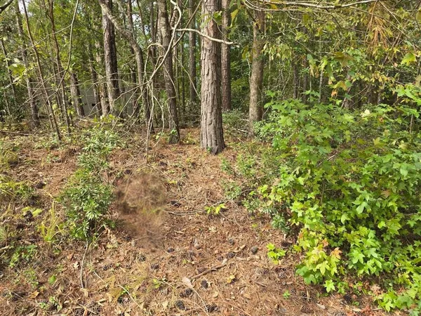 $65,000 | 23 Brassie Drive, McCormick, SC 29835