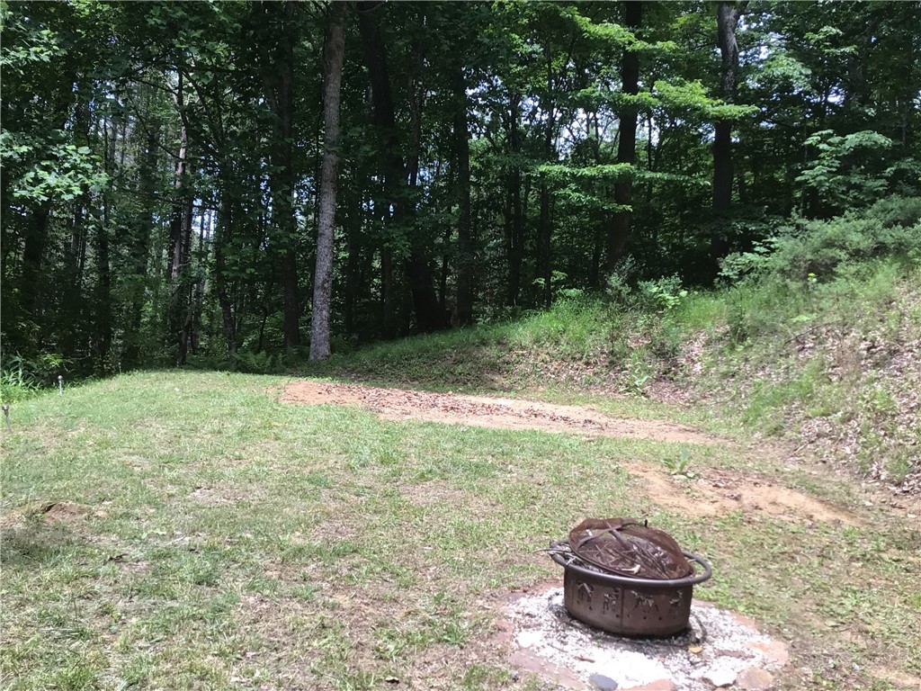 128 Hideaway Crumpler, NC 28617 - Photo 3 of 12