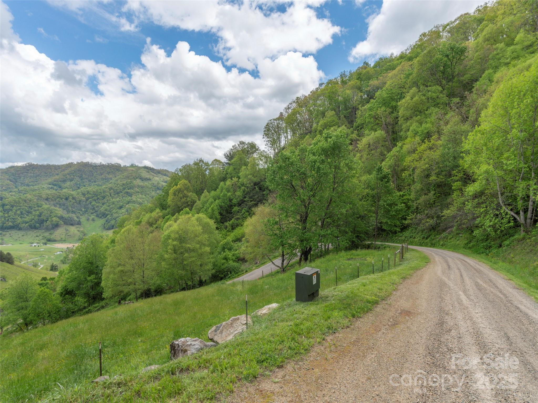 0 Quest Cove Clyde, NC 28721 - Photo 3 of 14 a view of a street with a yard