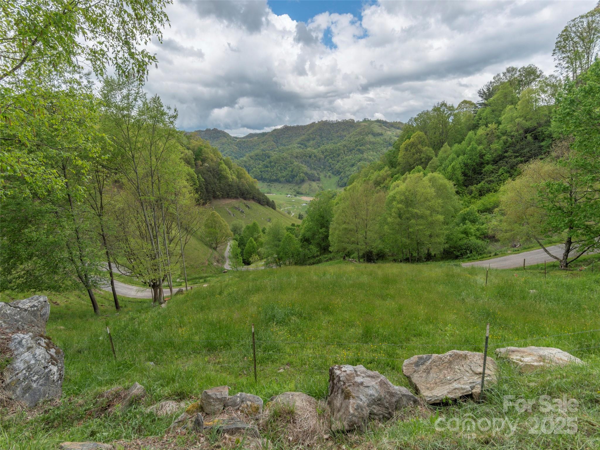 0 Quest Cove Clyde, NC 28721 - Photo 4 of 14 a view of a garden with a lake