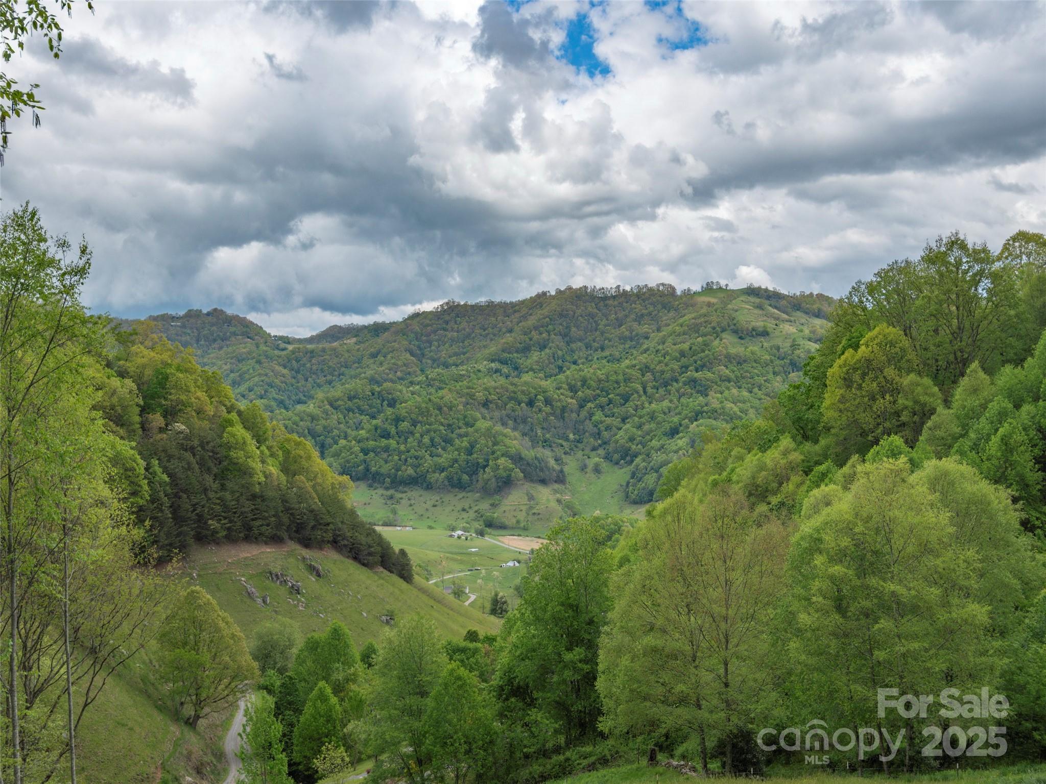 0 Quest Cove Clyde, NC 28721 - Photo 5 of 14 a view of a city and mountains