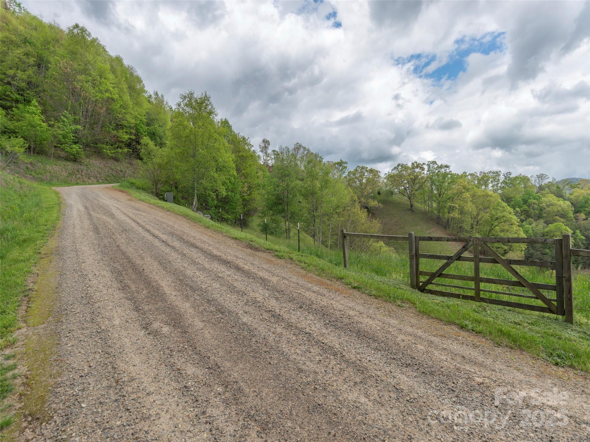 0 Quest Cove Clyde, NC 28721 - Photo 6 of 14 a view of street with lush green forest