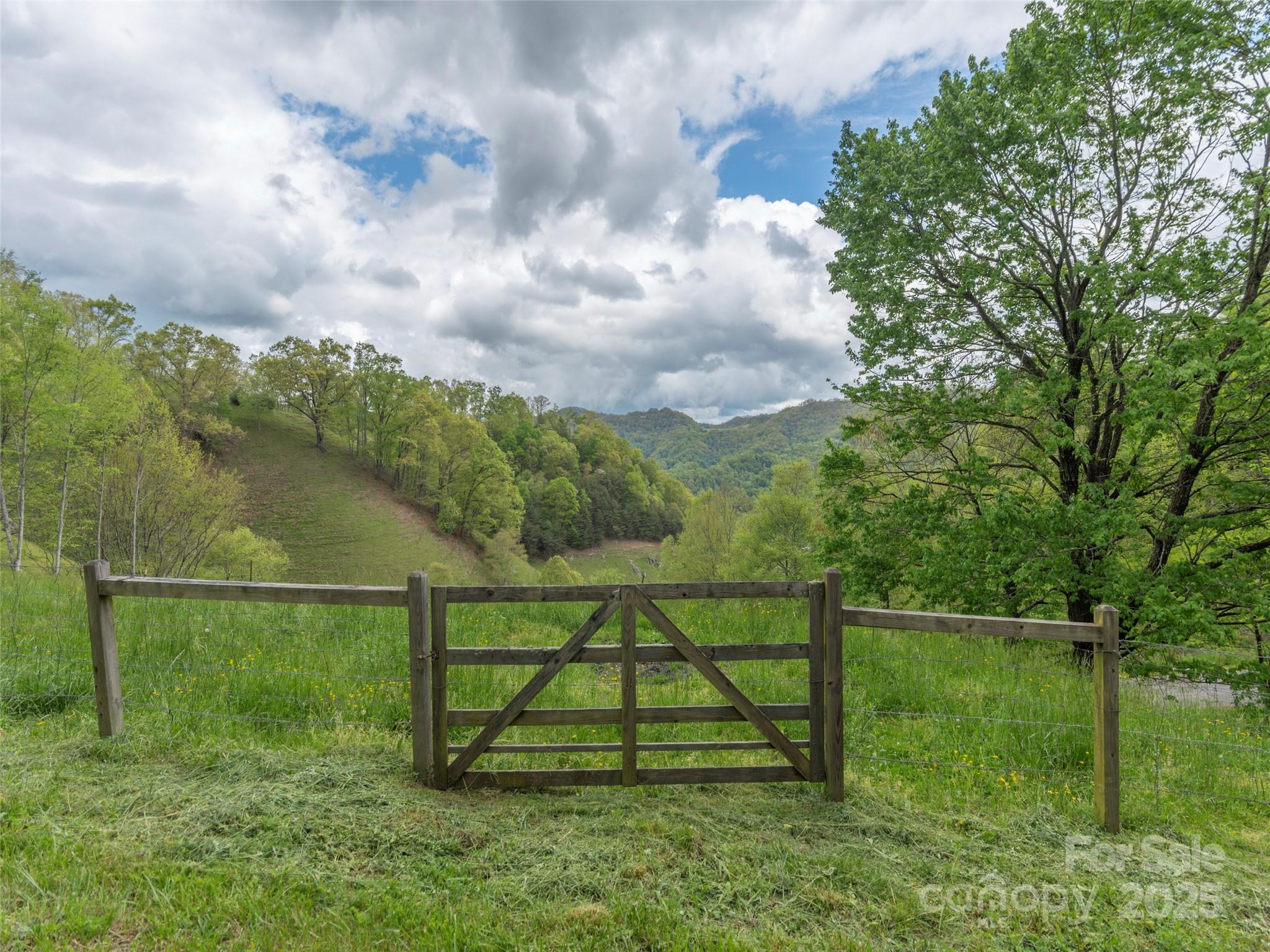 0 Quest Cove Clyde, NC 28721 - Photo 7 of 14 a view of a garden
