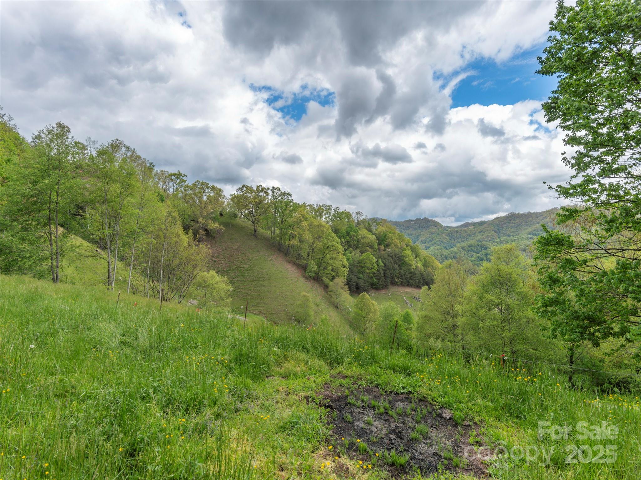 0 Quest Cove Clyde, NC 28721 - Photo 8 of 14