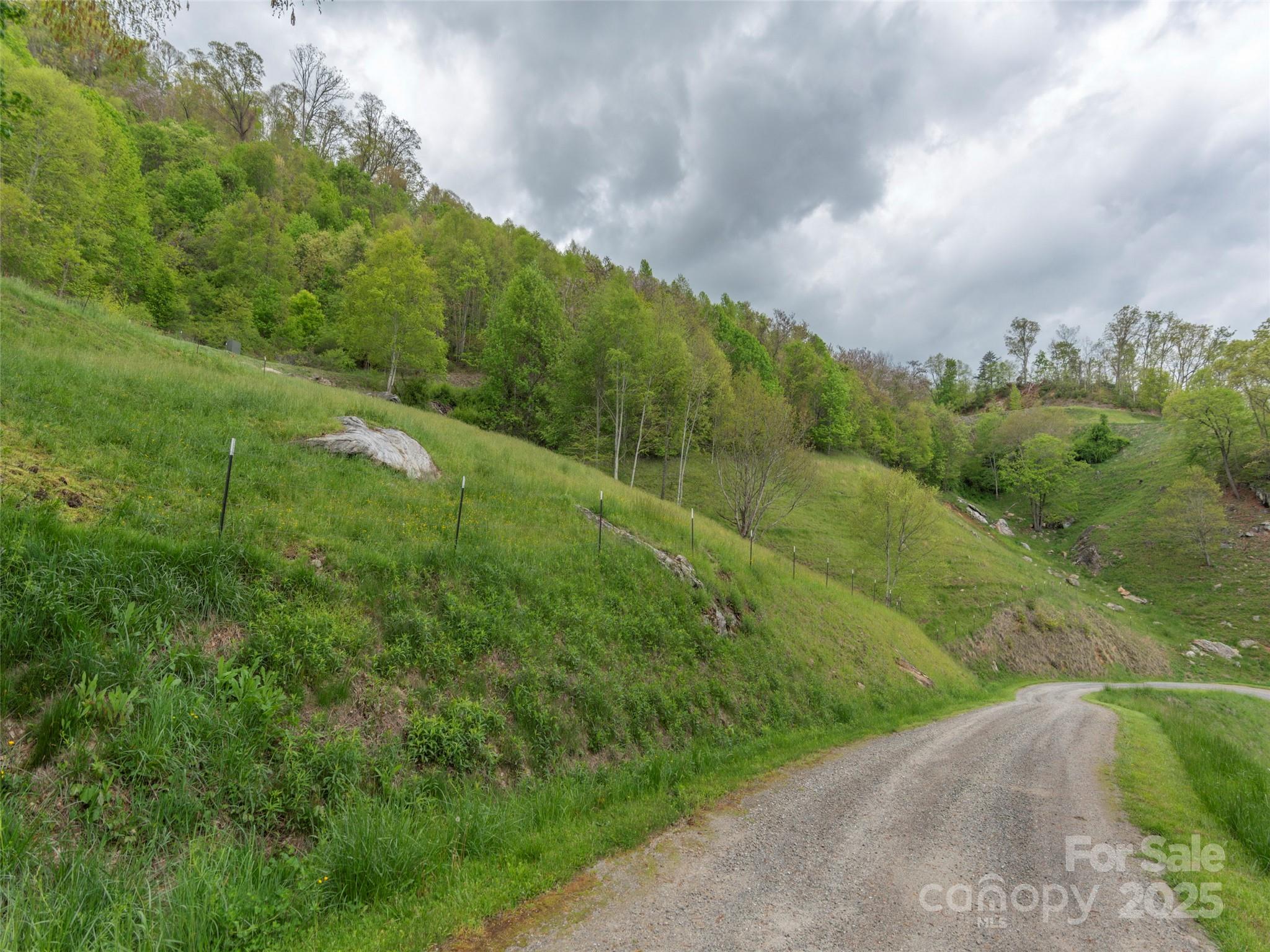 0 Quest Cove Clyde, NC 28721 - Photo 9 of 14 a view of a city street lush green forest