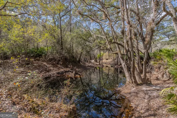a view of a forest with trees