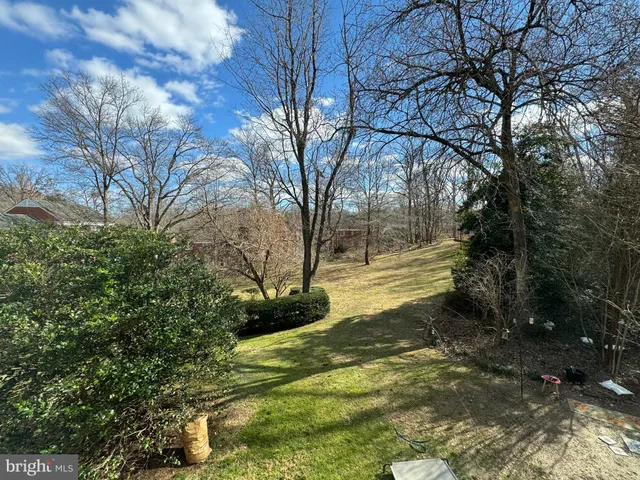 a view of yard with green space