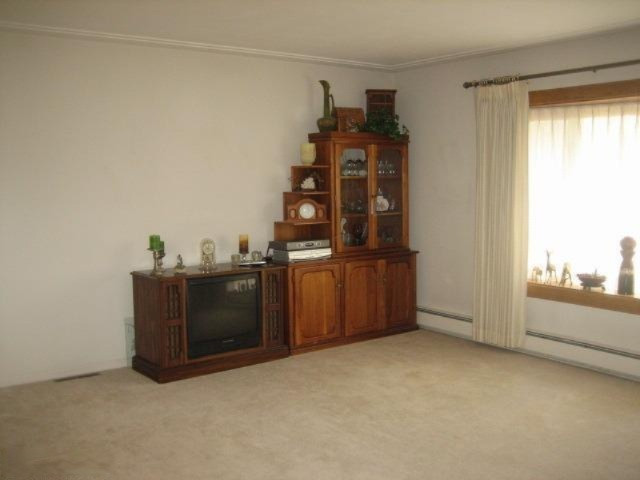 15518 Coon Hollow Road Three Rivers, MI 49093 - Photo 20 of 24 Additional Photo