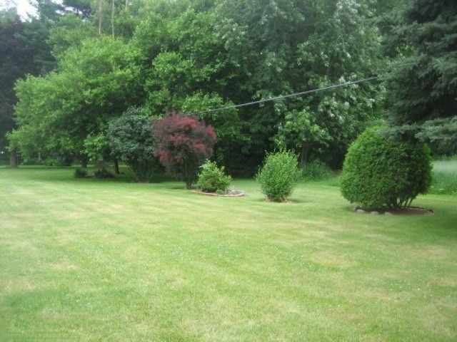 15518 Coon Hollow Road Three Rivers, MI 49093 - Photo 7 of 24 Additional Photo
