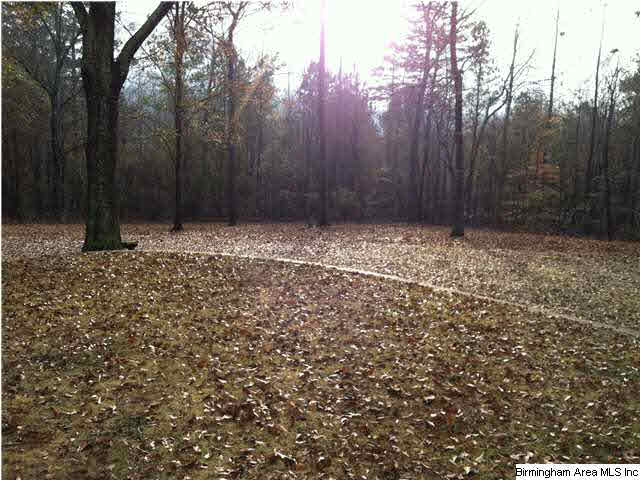338 Miracle Hills Road Springville, AL 35146 - Photo 29 of 30 Gallery Image 29