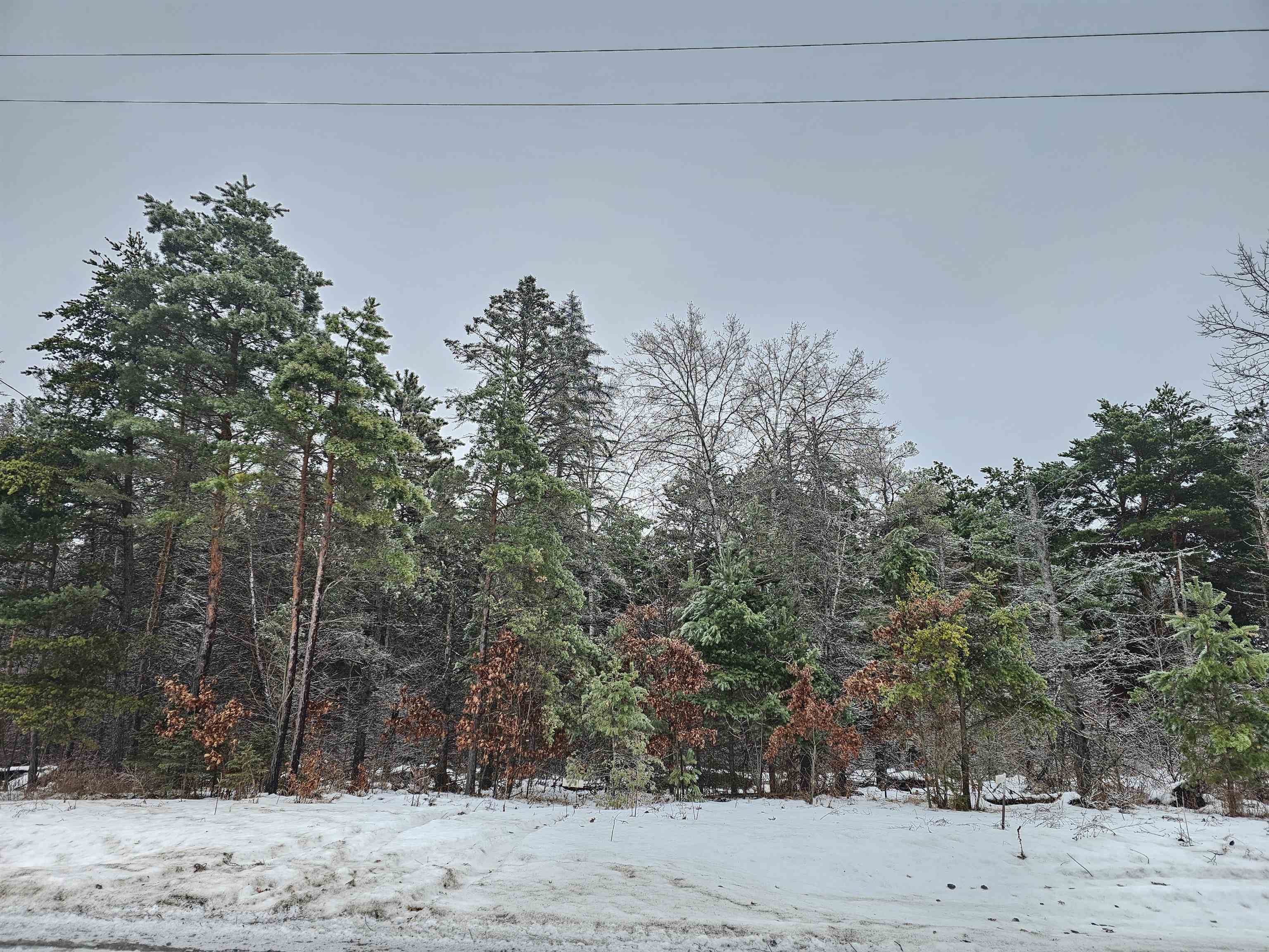 0 South Dickerson Road Lake City, MI 49651 - Photo 1 of 16
