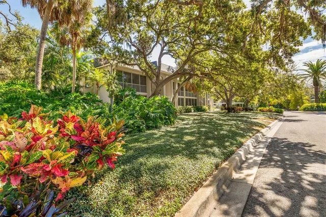 a view of a yard with plants