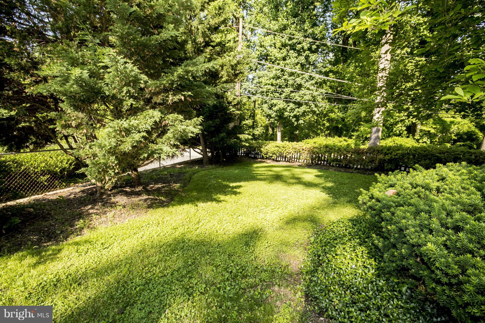 5504 Kemper Road Baltimore, MD 21210 - Photo 5 of 29 View of Back Yard and Bryn Mawr Woods