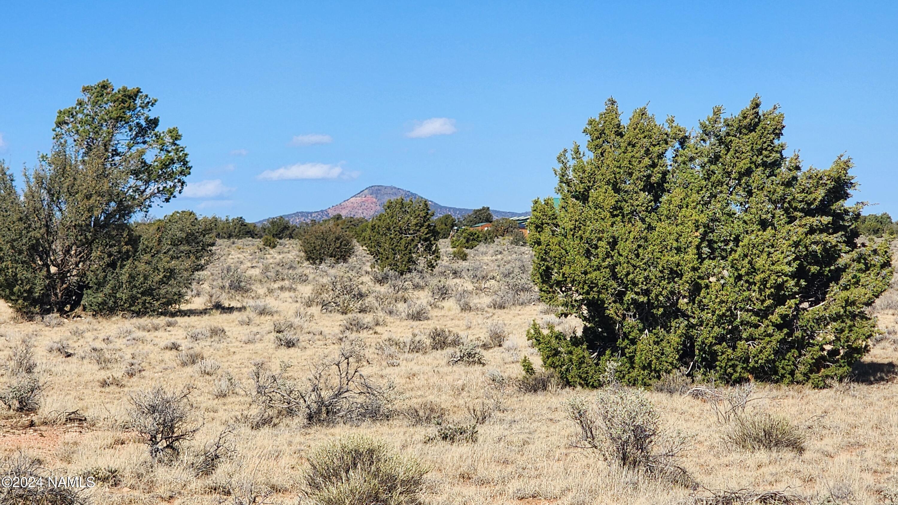 3433 Red Butte Road Williams, AZ 86046 - Photo 1 of 22 a view of a snow covered with snow in the background