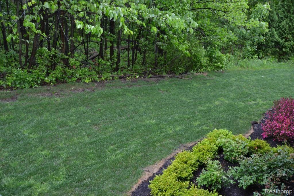 5170 Newport Court Rochester, MI 48306 - Photo 31 of 34 Private Wooded View