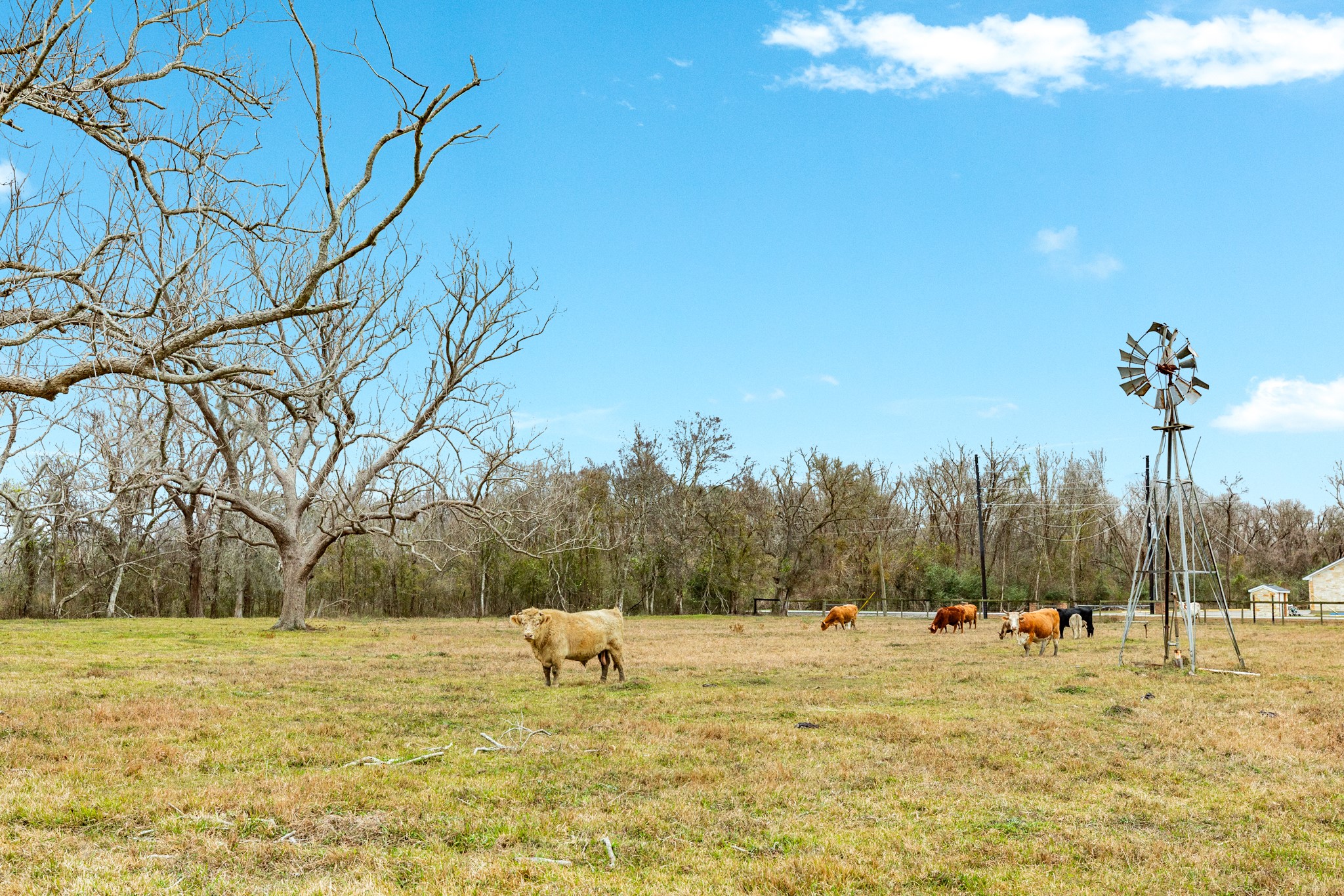 1516 County Road 34 Angleton, TX 77515 - Photo 47 of 47