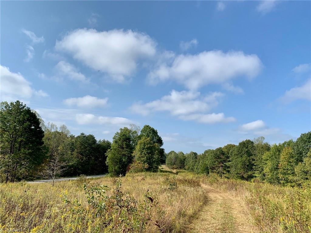 1400 Bolejack Road Germanton, NC 27019 - Photo 3 of 18