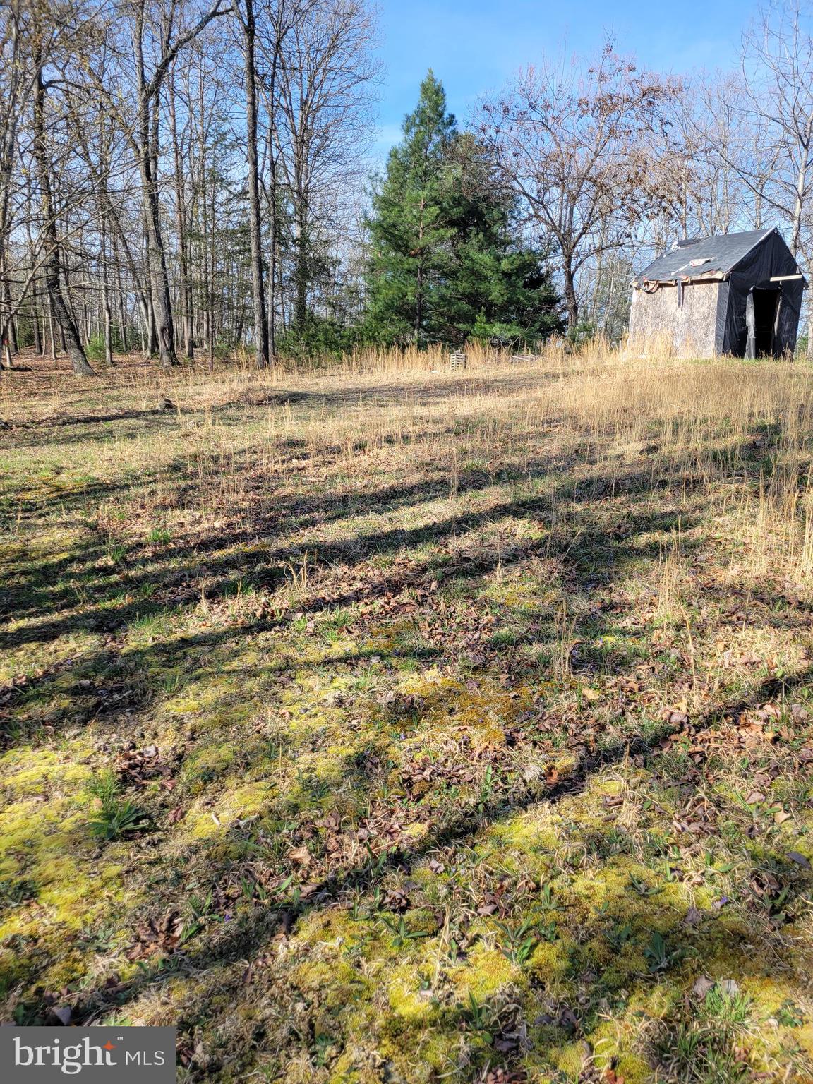 1957 Milk Road High View, WV 26808 - Photo 6 of 10 a view of yard with green space