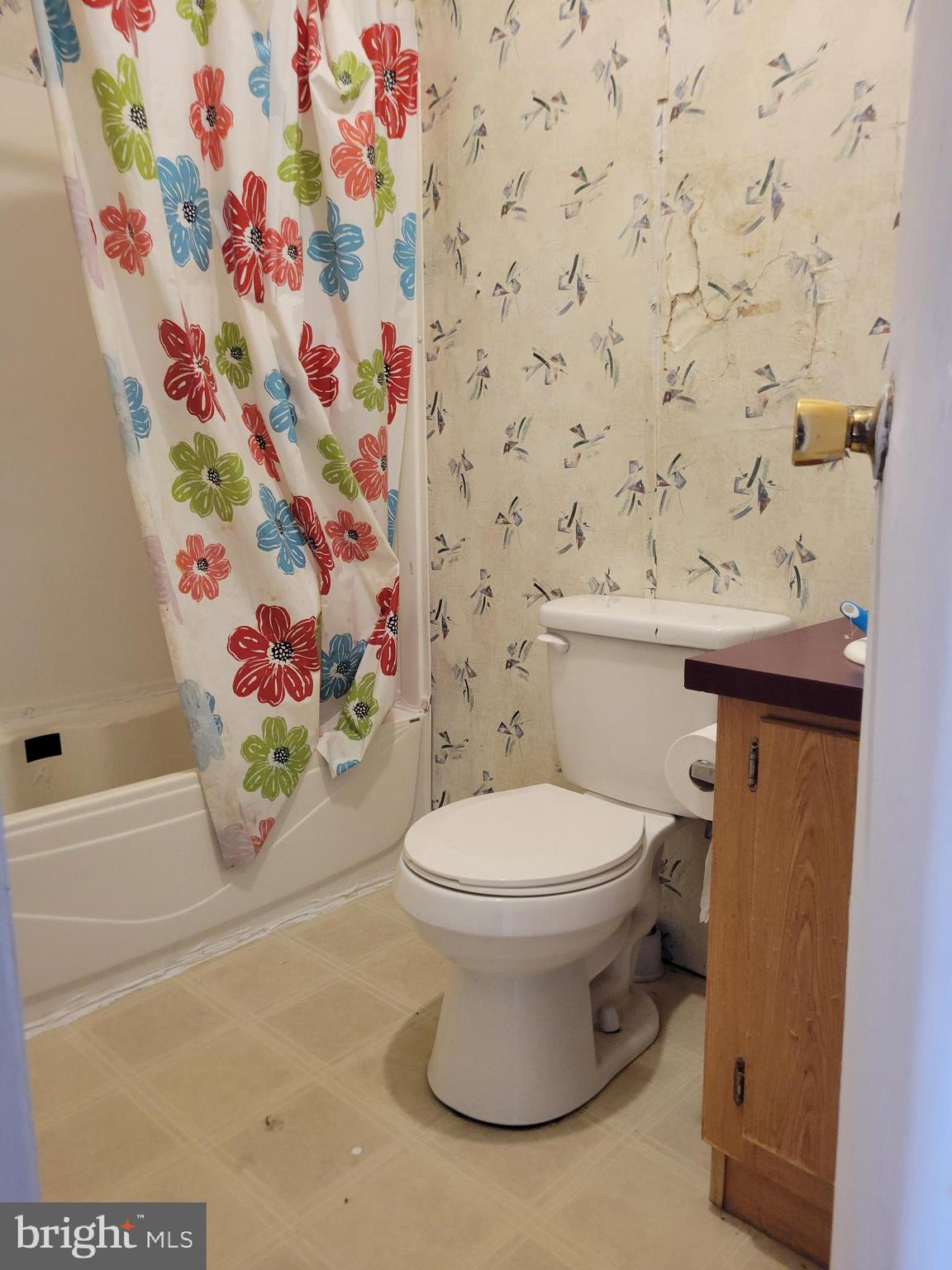 1957 Milk Road High View, WV 26808 - Photo 10 of 10 a bathroom with a sink and a toilet