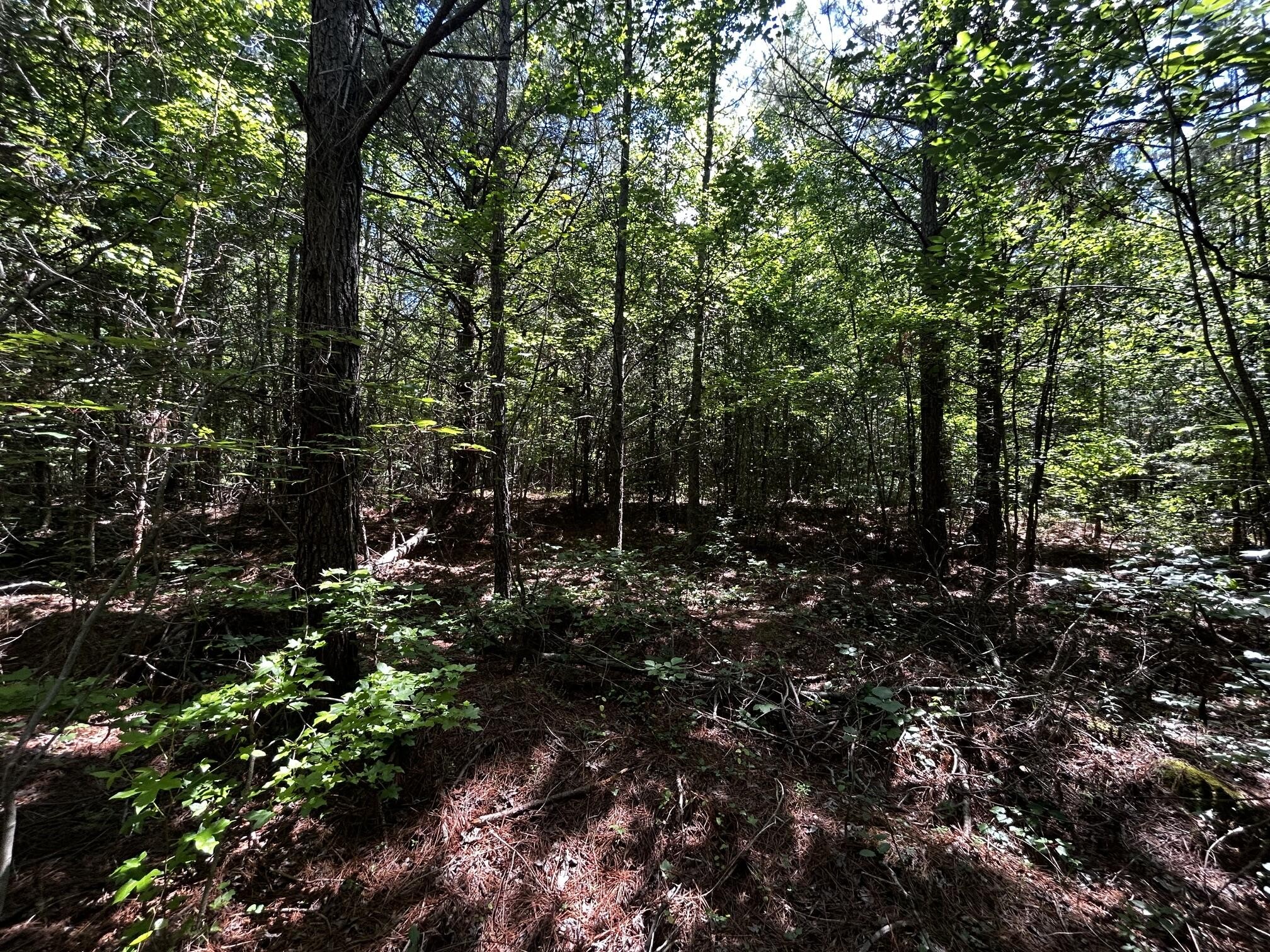 34 Tennessee 304 Ten Mile, TN 37880 - Photo 27 of 42