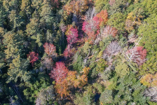 $65,000 | M15-l23 M15-l23 Varnumville Road, Brooksville, ME 04617