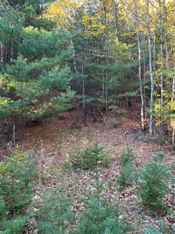 $65,000 | M15-l23 M15-l23 Varnumville Road, Brooksville, ME 04617