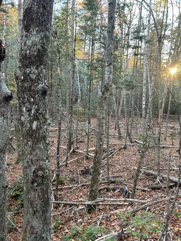 $65,000 | M15-l23 M15-l23 Varnumville Road, Brooksville, ME 04617