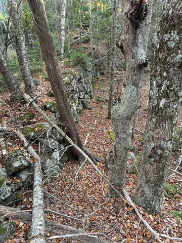 $65,000 | M15-l23 M15-l23 Varnumville Road, Brooksville, ME 04617