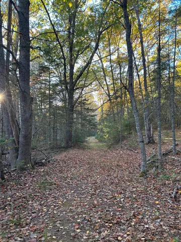 $65,000 | M15-l23 M15-l23 Varnumville Road, Brooksville, ME 04617