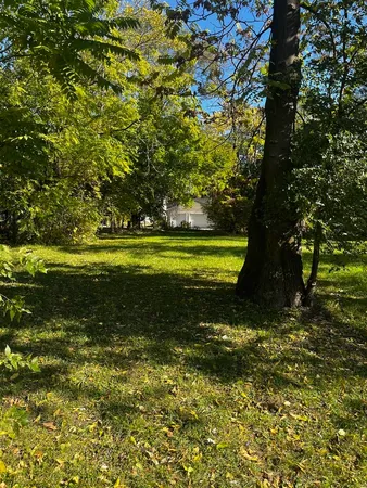 a view of a garden with an outdoor space