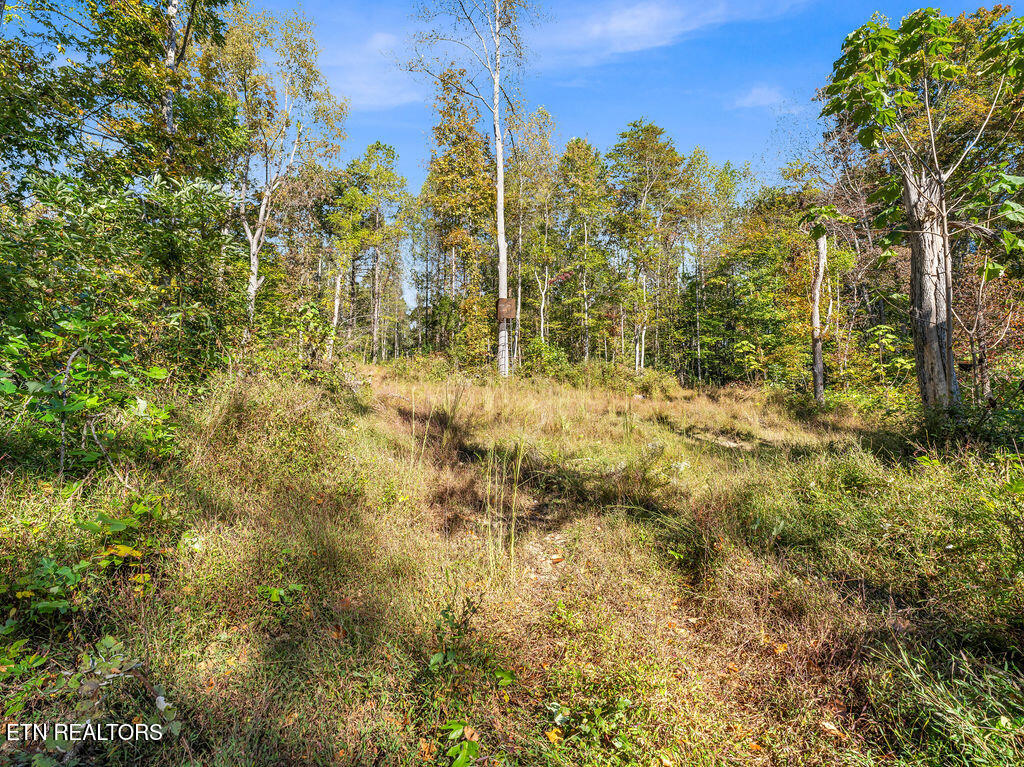 Friendship Hollow Road Speedwell, TN 37870 - Photo 15 of 44 Friendship Hollow Rd