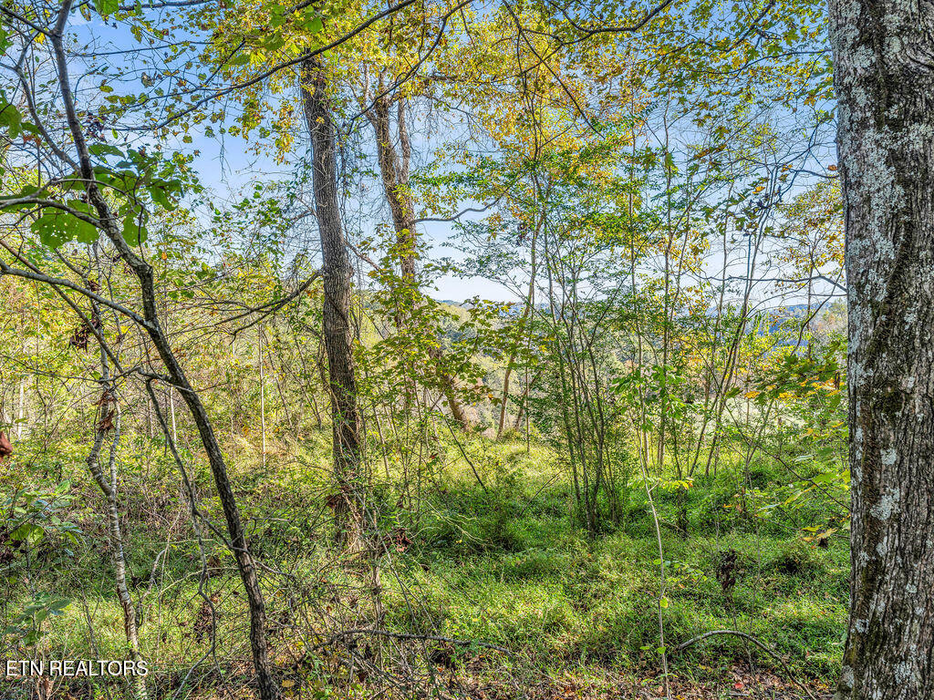 Friendship Hollow Road Speedwell, TN 37870 - Photo 19 of 44 Friendship Hollow Rd