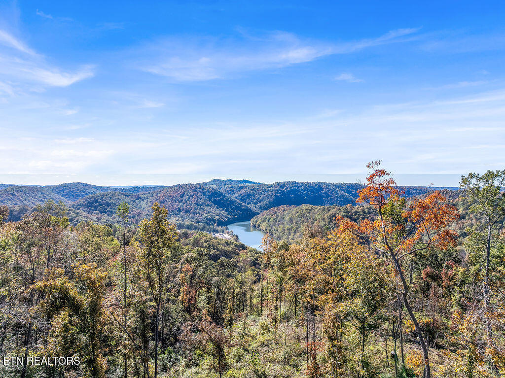 Friendship Hollow Road Speedwell, TN 37870 - Photo 2 of 44 Drone Friendship Hollow
