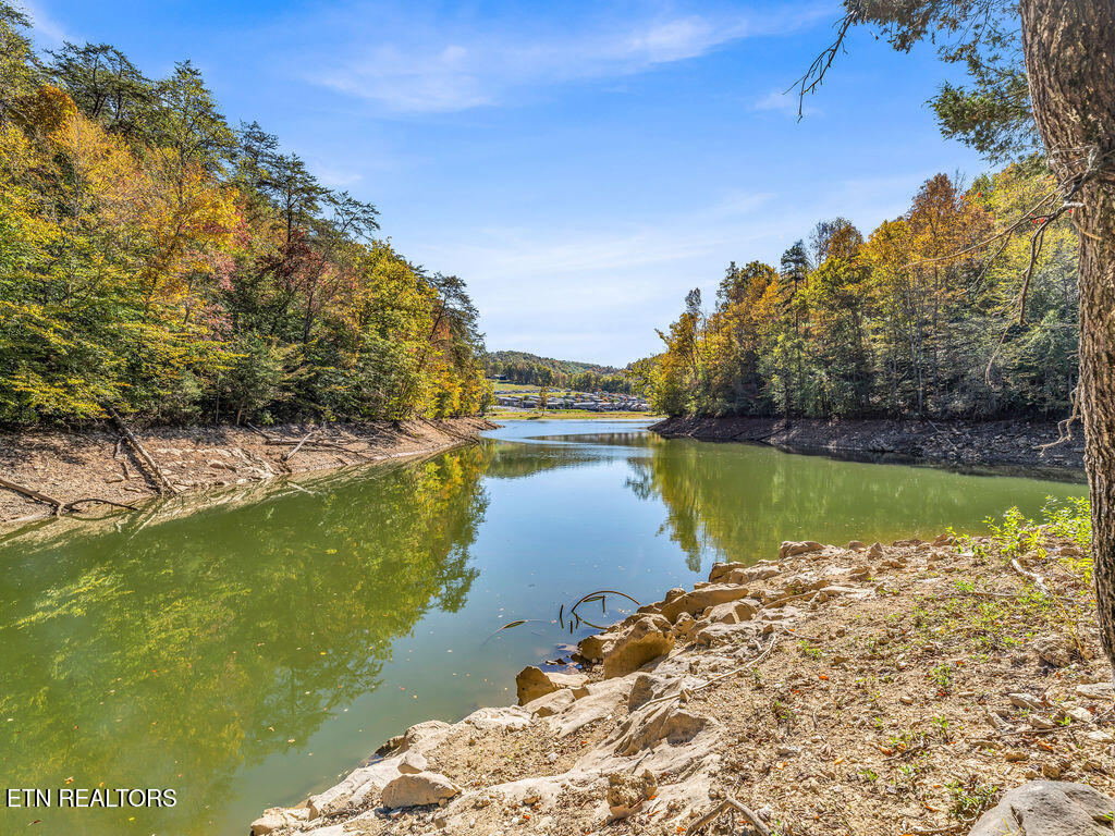 Friendship Hollow Road Speedwell, TN 37870 - Photo 25 of 44 Shoreline
