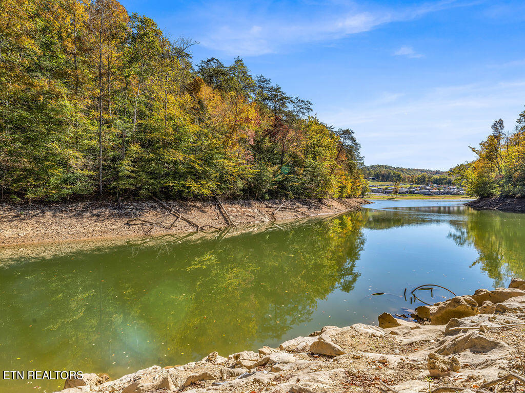 Friendship Hollow Road Speedwell, TN 37870 - Photo 26 of 44 Shoreline