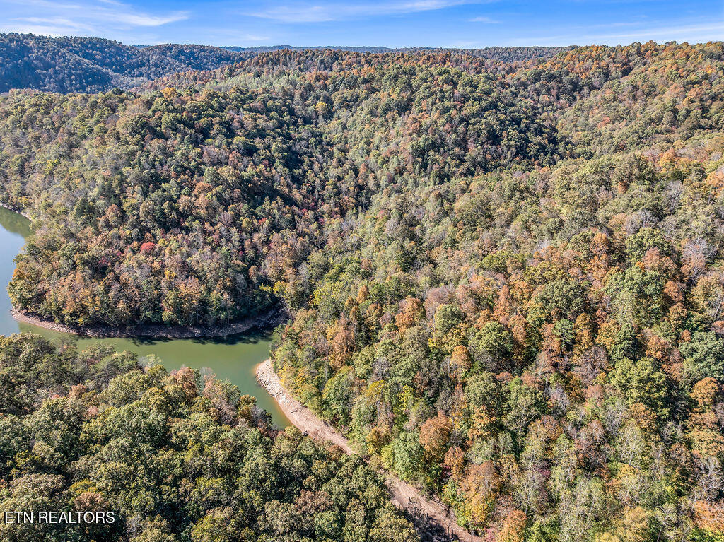 Friendship Hollow Road Speedwell, TN 37870 - Photo 28 of 44 Drone Wagon Hollow
