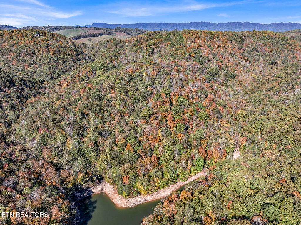 Friendship Hollow Road Speedwell, TN 37870 - Photo 29 of 44 Drone Wagon Hollow