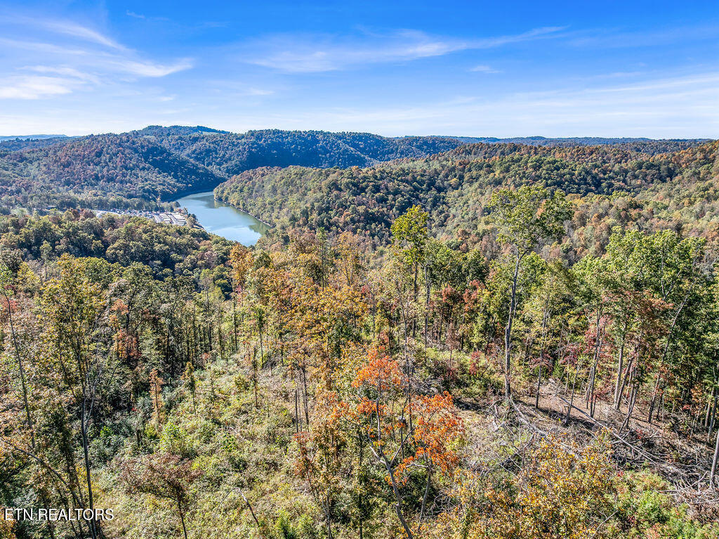 Friendship Hollow Road Speedwell, TN 37870 - Photo 3 of 44 Drone Friendship Hollow